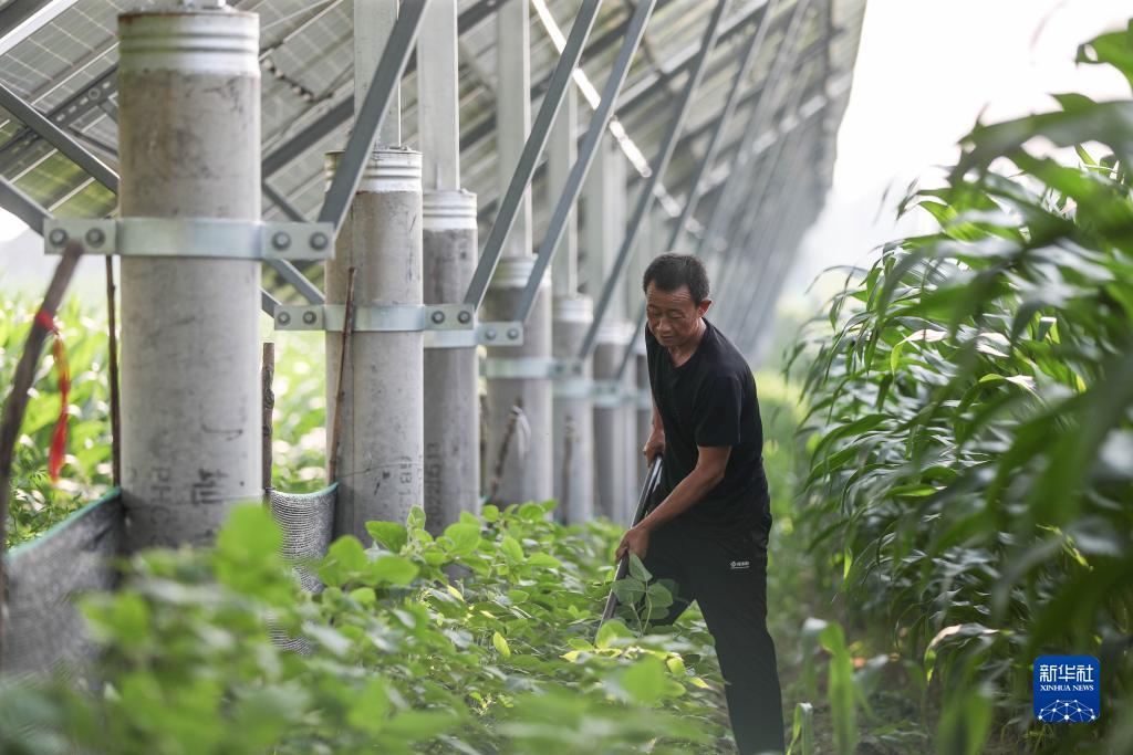千亿棋牌官网